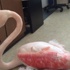 Flamingoyu vurdular Flamingoyu vurdular