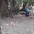 PKK camiyi örgüt merkezi gibi kullanmış PKK camiyi örgüt merkezi gibi kullanmış