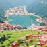 Uzungöl'de 862 kaçak için başvuru