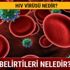 HIV virüsü nedir? HIV virüsü nasıl bulaşır, belirtileri nelerdir?