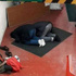 Liverpool taraftarından skandal namaz tweeti Liverpool taraftarından skandal namaz tweeti