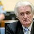 'Bosna Kasabı' Karadzic'in temyiz davasında hakim değişikliği: Temyiz Konseyi Başkanı davadan çekildi