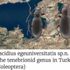 Ege Üniversitesi'nin adı keşfedilen böcek türüne verildi Ege Üniversitesi'nin adı keşfedilen böcek türüne verildi