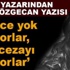 Havuz yazarı Göktürk, Özgecan'ı 'yok edenlere' cezayı fazla bulmuş