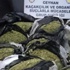Adana’da esrar operasyonu! Adana’da esrar operasyonu!