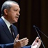 Erdoğanlı Bakanlar Kurulu'nun gündemi belli oldu