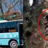 Halk otobüsü odun toplayan kız kardeşleri ezdi