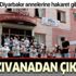 HDP’lilerden Diyarbakır annelerine hakaret gibi etkinlik!