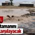 Bakan Bekir Pakdemirli'den 'Van' mesajı: Sel felaketinde hayvan varlıkları zarar gören vatandaşlarımızın zararı karşılanacak