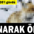 Çaldıran -35'i gördü. Bir tilki donarak öldü Çaldıran -35'i gördü. Bir tilki donarak öldü