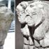 Niğde ve Kayseri'nin aslan kavgası... Kavgaya Nevşehir de karıştı