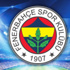 Fenerbahçe'nin Portekiz takımları karnesi