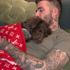 David Beckham’ın köpeğine aldığı battaniyenin fiyatı dudak uçuklattı David Beckham’ın köpeğine aldığı battaniyenin fiyatı dudak uçuklattı