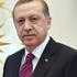 Cumhurbaşkanı Erdoğan, HDP'li Üçer'den tazminat kazandı