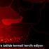 Aileler, ara tatilde termali tercih ediyor