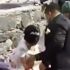 Geline herkesin içinde tokat atan damat