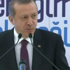 Erdoğan'dan tercümana uyarı
