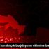 Muğla da karakılçık buğdayının ekimine başlandı