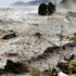 Türk ve Japon uzmanlardan tsunami zirvesi Türk ve Japon uzmanlardan tsunami zirvesi