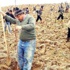 Muhtarlara ‘'Sulamadınız ağaçlar kurudu’' cezası Muhtarlara ‘'Sulamadınız ağaçlar kurudu’' cezası