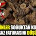 ﻿Bu besinler soğuktan koruyor doğalgaz faturasını düşürüyor