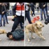 Günün fotoğrafı A.A'dan!