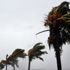 Harvey ve Irma kasırgaları ABD ekonomisini vurdu