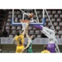 Türkiye Basketbol Ligi Türkiye Basketbol Ligi