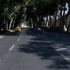 Dolmabahçe Sarayı'na bombalı ve silahlı saldırı Dolmabahçe Sarayı'na bombalı ve silahlı saldırı