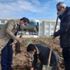 Kurutulan bataklıkta 'aromatik bitkiler bahçesi' kuruldu Kurutulan bataklıkta 'aromatik bitkiler bahçesi' kuruldu