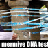 Elçi’yi öldüren mermi DNA’yla belirlenecek