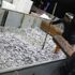 Resmen fışkırdı! Tam 500 ton Resmen fışkırdı! Tam 500 ton