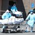 New York'ta 5 bin 293 "sebebi tanımlanmayan" ölüm tespit edildi New York'ta 5 bin 293 "sebebi tanımlanmayan" ölüm tespit edildi