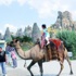 Does Cappadocia Mean "The Land Of Beautiful Horses" ? Does Cappadocia Mean "The Land Of Beautiful Horses" ?