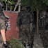 Şanlıurfa'da Şafak Operasyonu