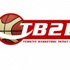 Türkiye Basketbol 2. Ligi'nde görünüm