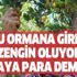 Bursa'da yapılıyor Ekim'den Ocak ayına kadar! Bu ormana giren zengin oluyor paraya para demiyor! Bursa'da yapılıyor Ekim'den Ocak ayına kadar! Bu ormana giren zengin oluyor paraya para demiyor!