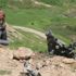 Sezgin Tanrıkulu PKK saldırısına sessiz kaldı
