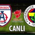 Fenerbahçe Altınordu maçı ATV üzerinden canlı izlenebilir (FB-Altınordu)