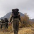 Şırnak’ta 7 terörist teslim oldu