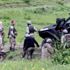 PKK'nın üst düzey kadrosuna operasyon!