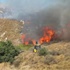 Avşa adasında büyük yangın