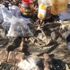 Siirt´te terör örgütü PKK´nın kış üslenmesine darbe