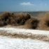 Sanki tsunami