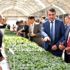 Japonlardan Bafra ya tarım yatırımı Japonlardan Bafra ya tarım yatırımı