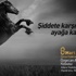 Atlar, "Özgecan" için koşacak Atlar, "Özgecan" için koşacak