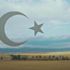 THY'den, İstiklal Marşı'nın kabulünün 100. yıl dönümüne özel film: 8 senelik projede doğal sesler kullanıldı