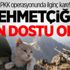 Mağarada bulunan kediler Mehmetçiğin "can dostu" oldu