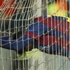 Messi: "Sahayı fazla karıştırıyorum"