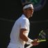 ﻿Nadal, Wimbledon ve Tokyo Olimpiyat Oyunları'na katılmayacak